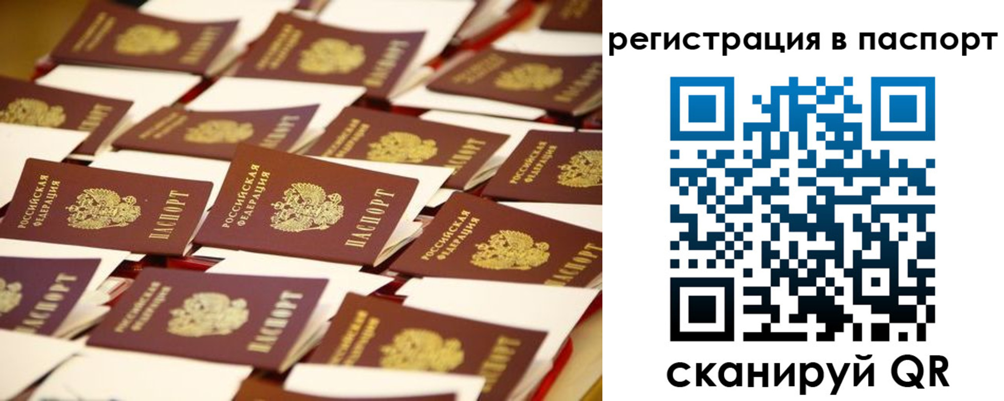 прописка гарантия в Острове